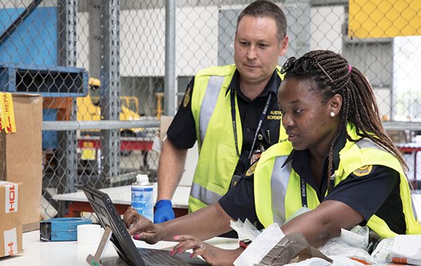 Bulk and Retail Customs clearances